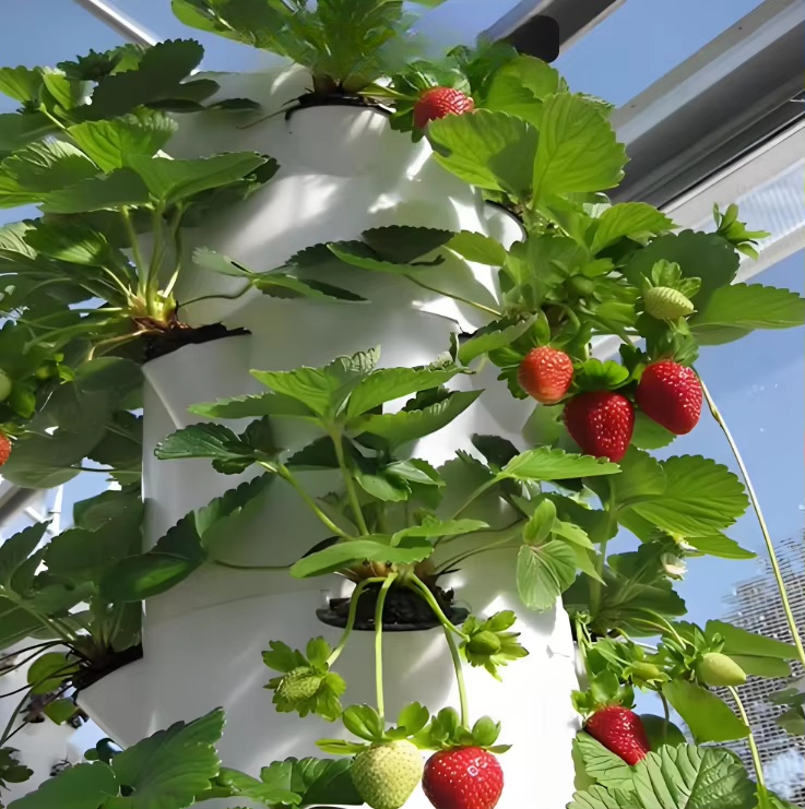 Modulares Hydroponik-Wachstums – Urban Farming Urban Gardening Bewertung und Preis