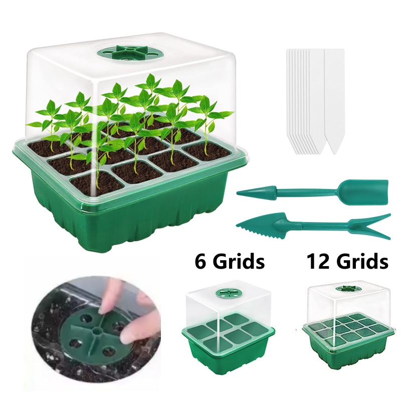 Anzuchtschale Mini-Gewächshaus – Dome Propagation Kit Bewertung und Preis